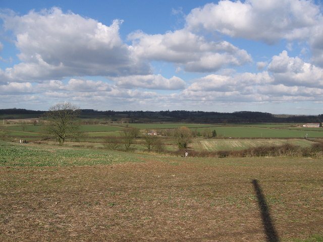 Open farmland under a broad cloudy sky at Bosworth, with a bare tree in a ploughed field and a line of hedges and woods in the distance