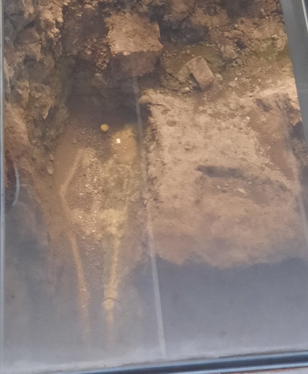 The outline of a shallow grave cut in brown earth under glass, with a pale illuminated silhouette marking where the skeleton lay