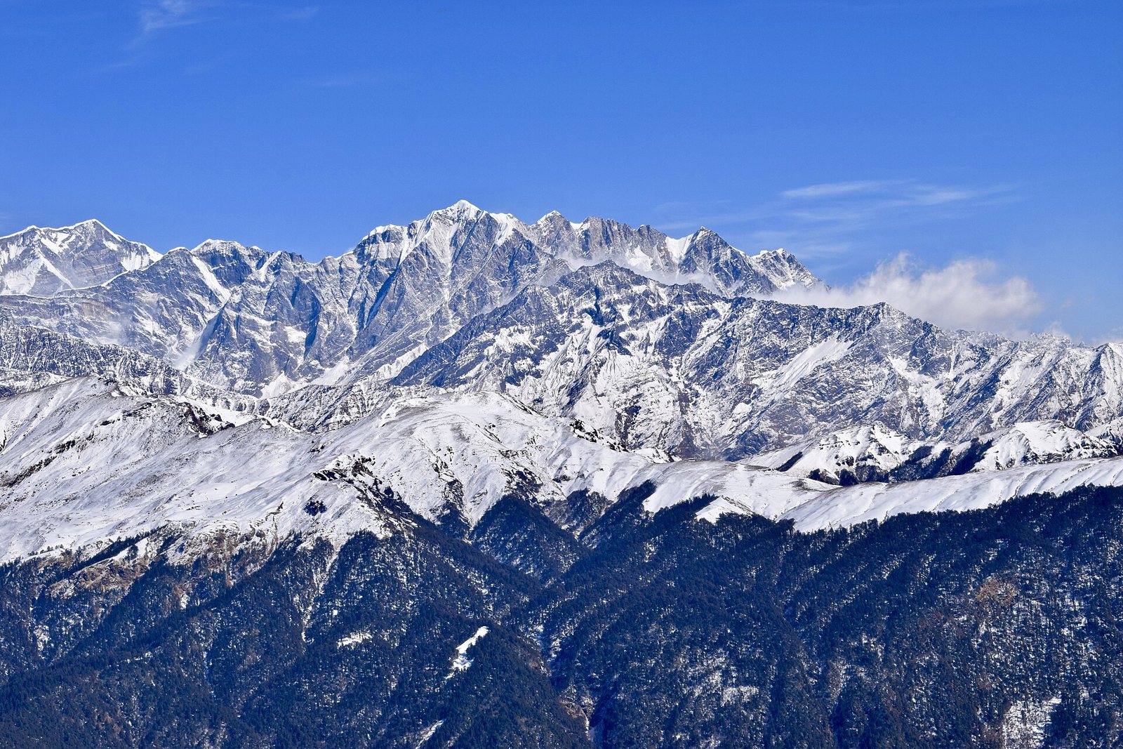 Snow-covered Himalayan ridges and peaks under a deep blue sky, with dark forested slopes in the foreground