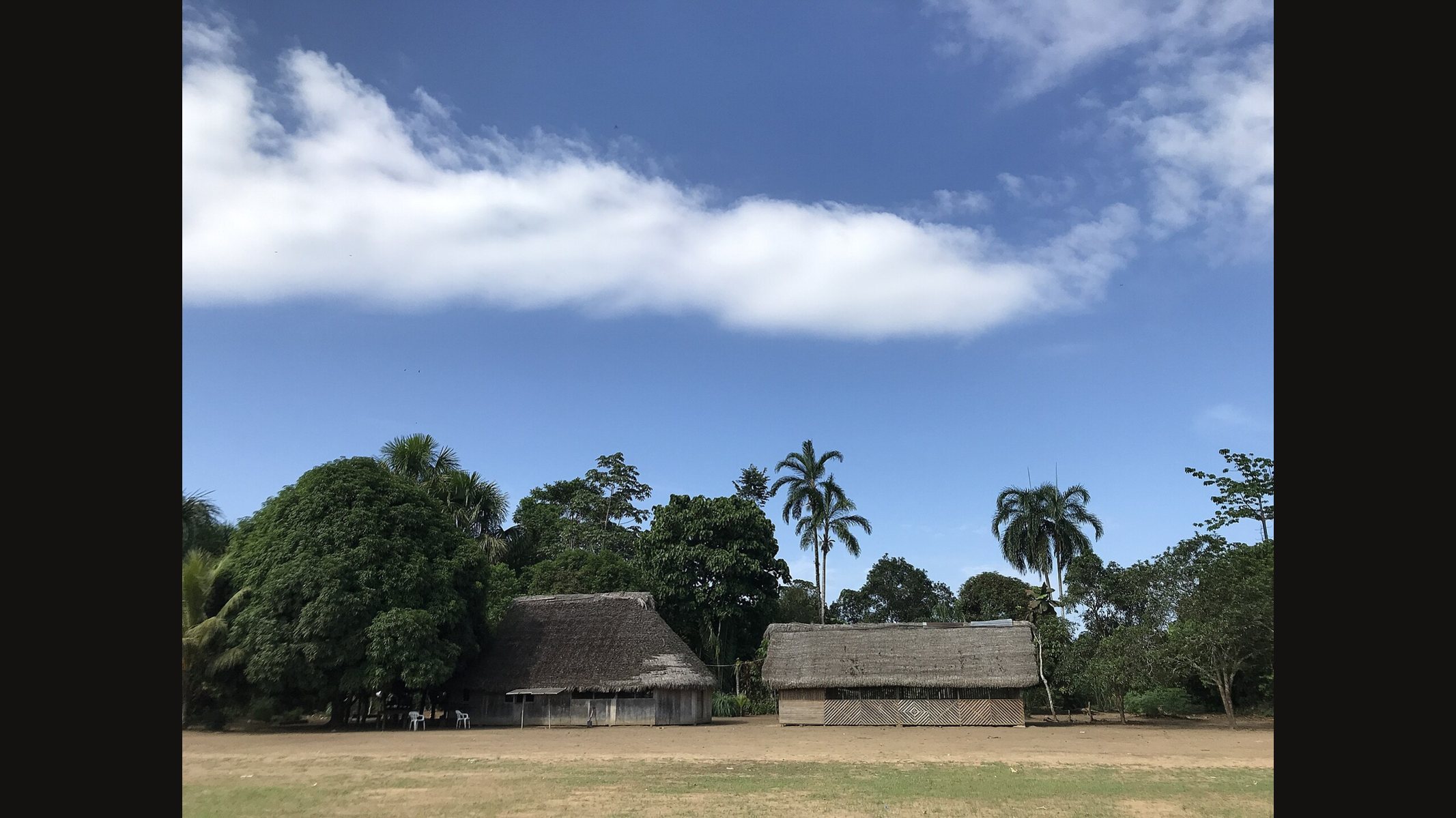 Two long houses with steep thatched roofs on the edge of a wide grassy clearing at Huasaga, ringed by palms and broad forest trees under a blue sky with a long white cloud