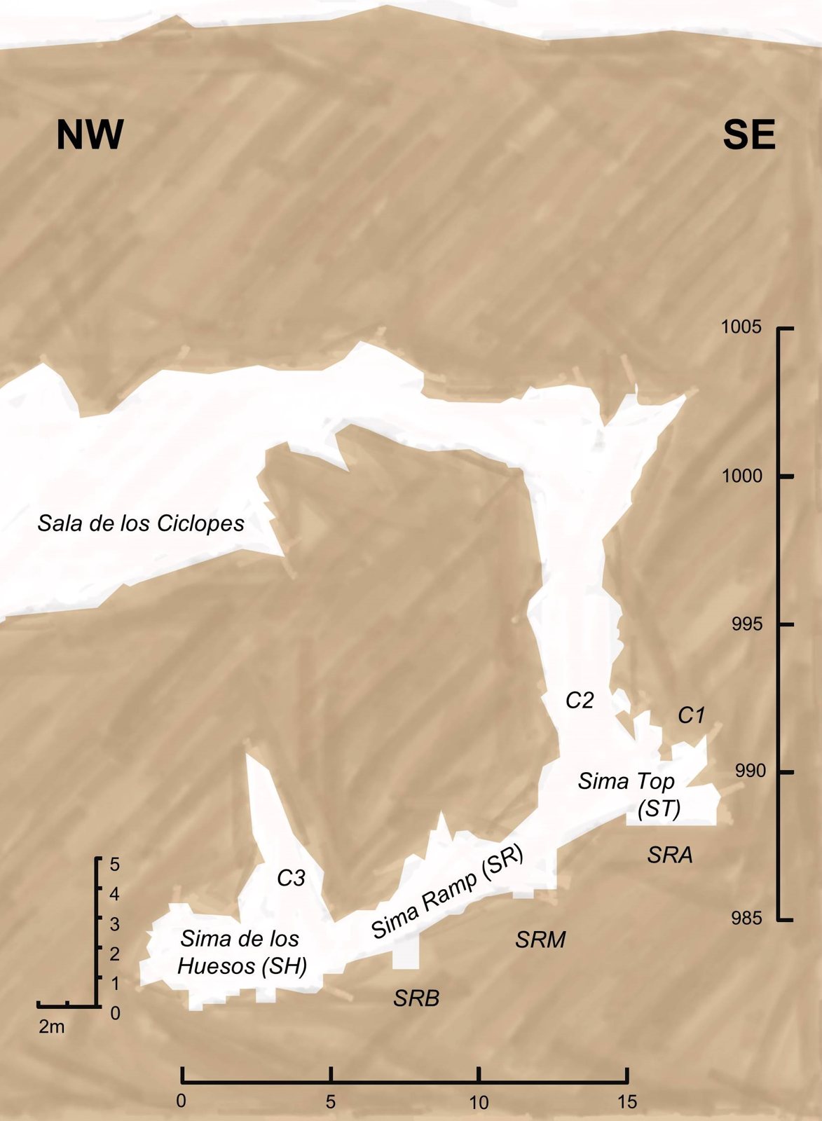 Plan of the cave passages leading to the Sima de los Huesos, with the Sala de los Ciclopes at upper left, the Sima Ramp sloping down to the Sima de los Huesos at lower left and a depth scale from 985 to 1005 on the right