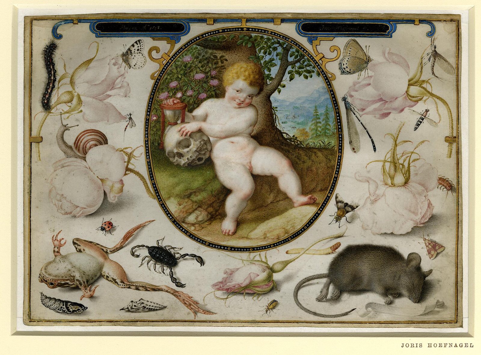 A miniature of a plump child seated in an oval frame, resting a hand on a skull beside an hourglass, surrounded by roses, butterflies, a snail, a frog, a scorpion and a mouse