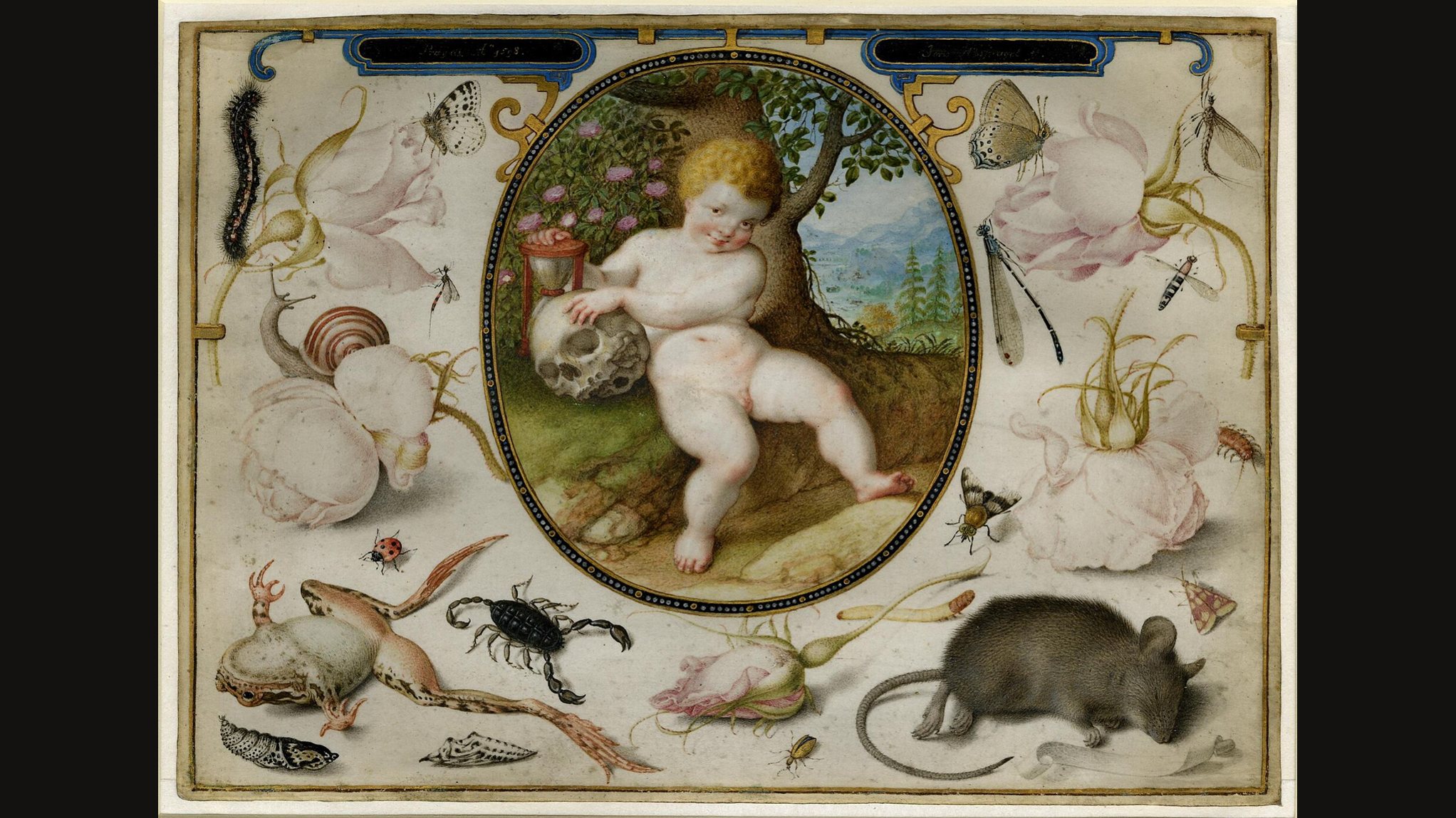 Allegory on Life and Death: a child in an oval holds a skull beside a rose bush, ringed by pale roses, insects, a snail, a scorpion and a mouse