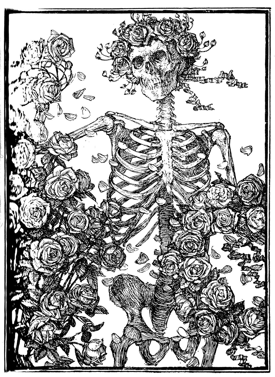 Black and white engraving of a full skeleton wreathed in roses, with roses crowning the skull and petals falling