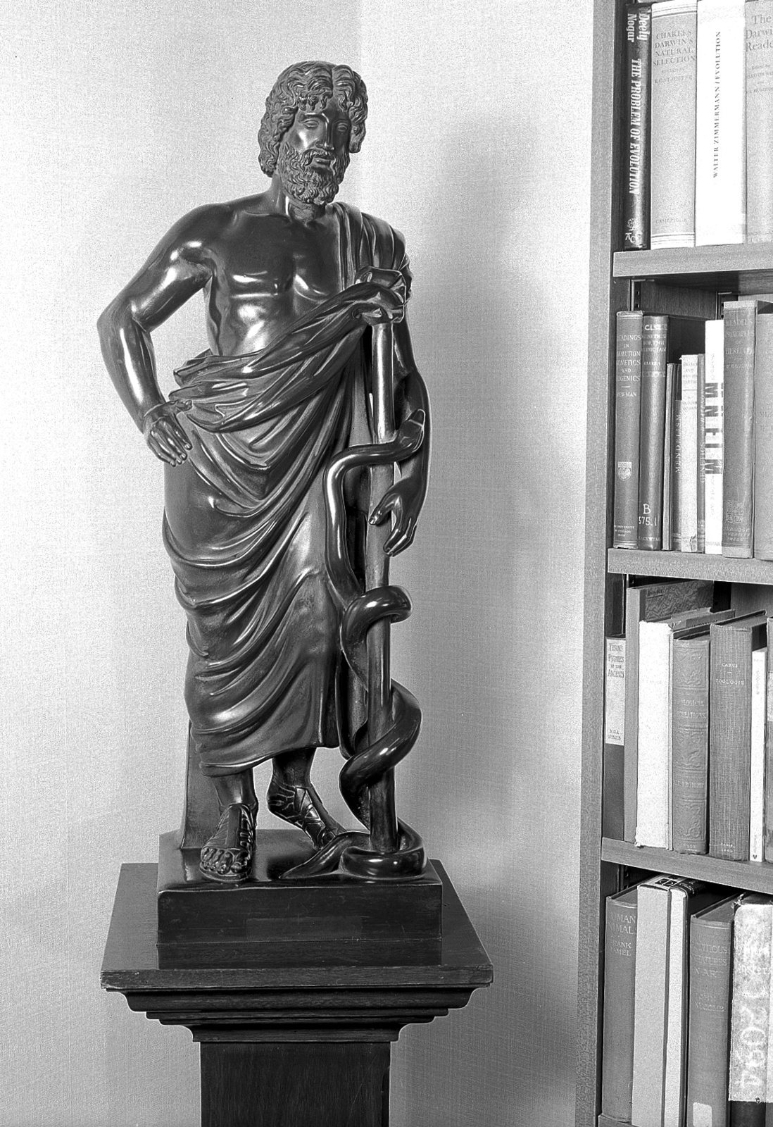 Dark bronze statuette of a bearded man in a draped robe resting his hand on a staff with a single snake coiled around it