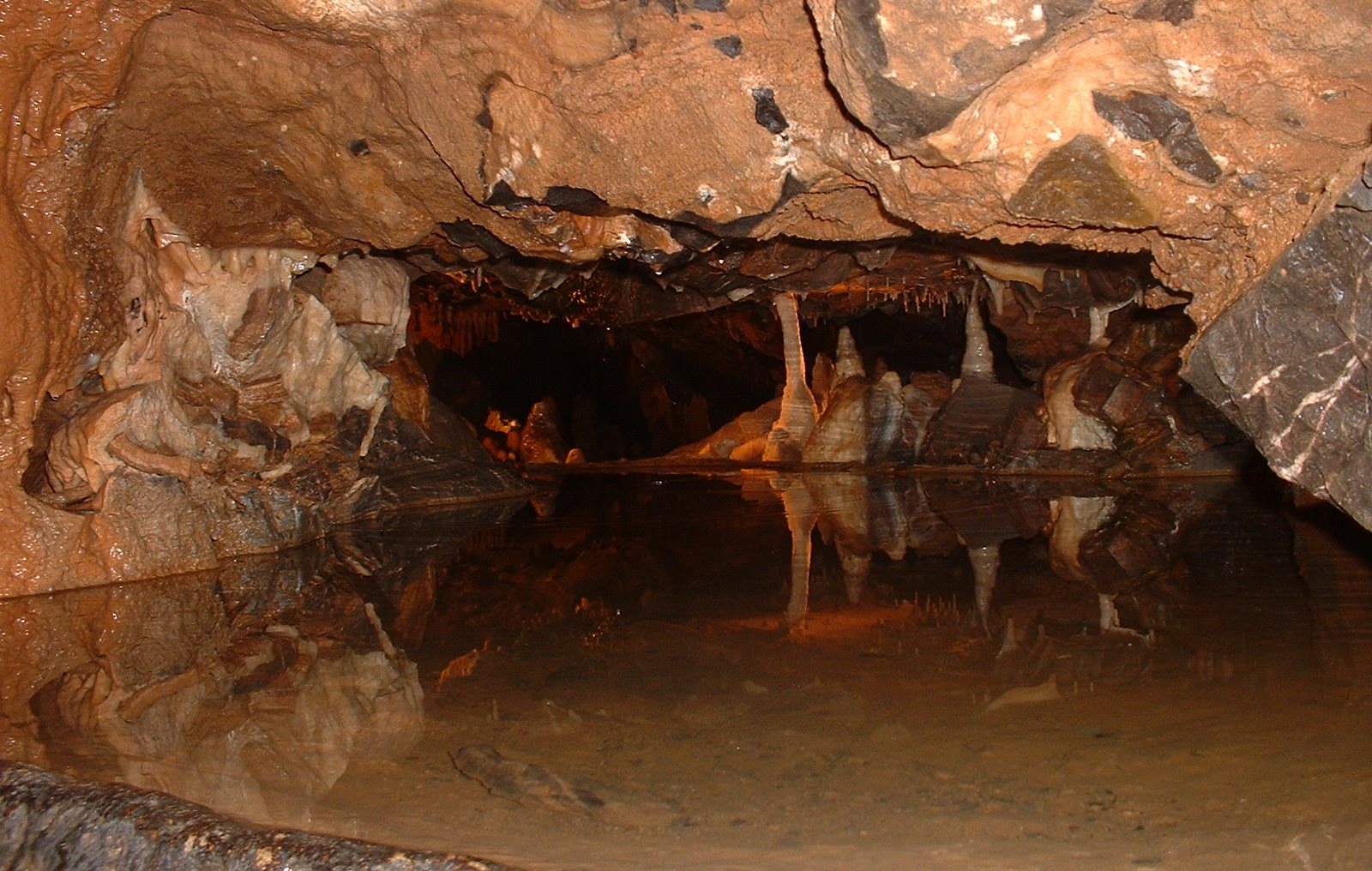 Inside Gough's Cave: a low rock ceiling over a still pool that mirrors pale stalagmites and stalactites in warm orange light
