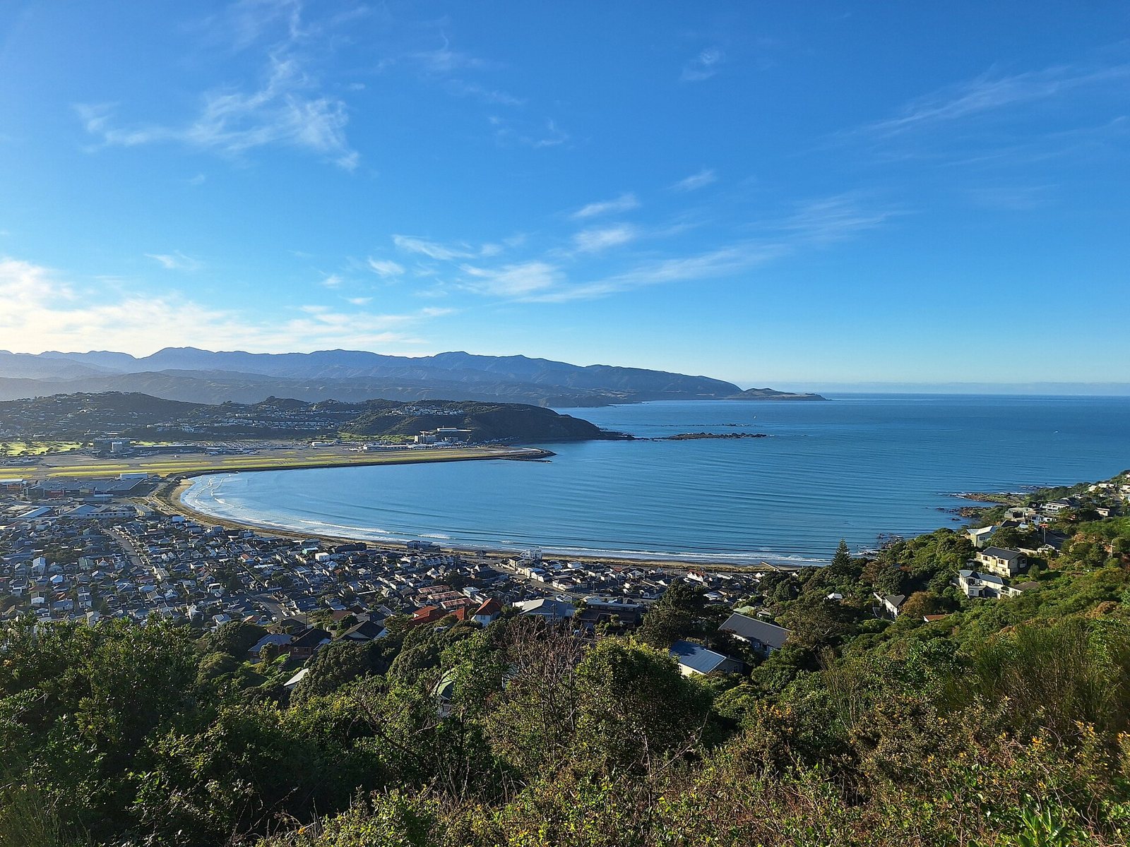 A long curved sandy beach and bay at Lyall Bay in Wellington, with suburban houses along the shore, green hills on the left and distant headlands under a clear blue sky