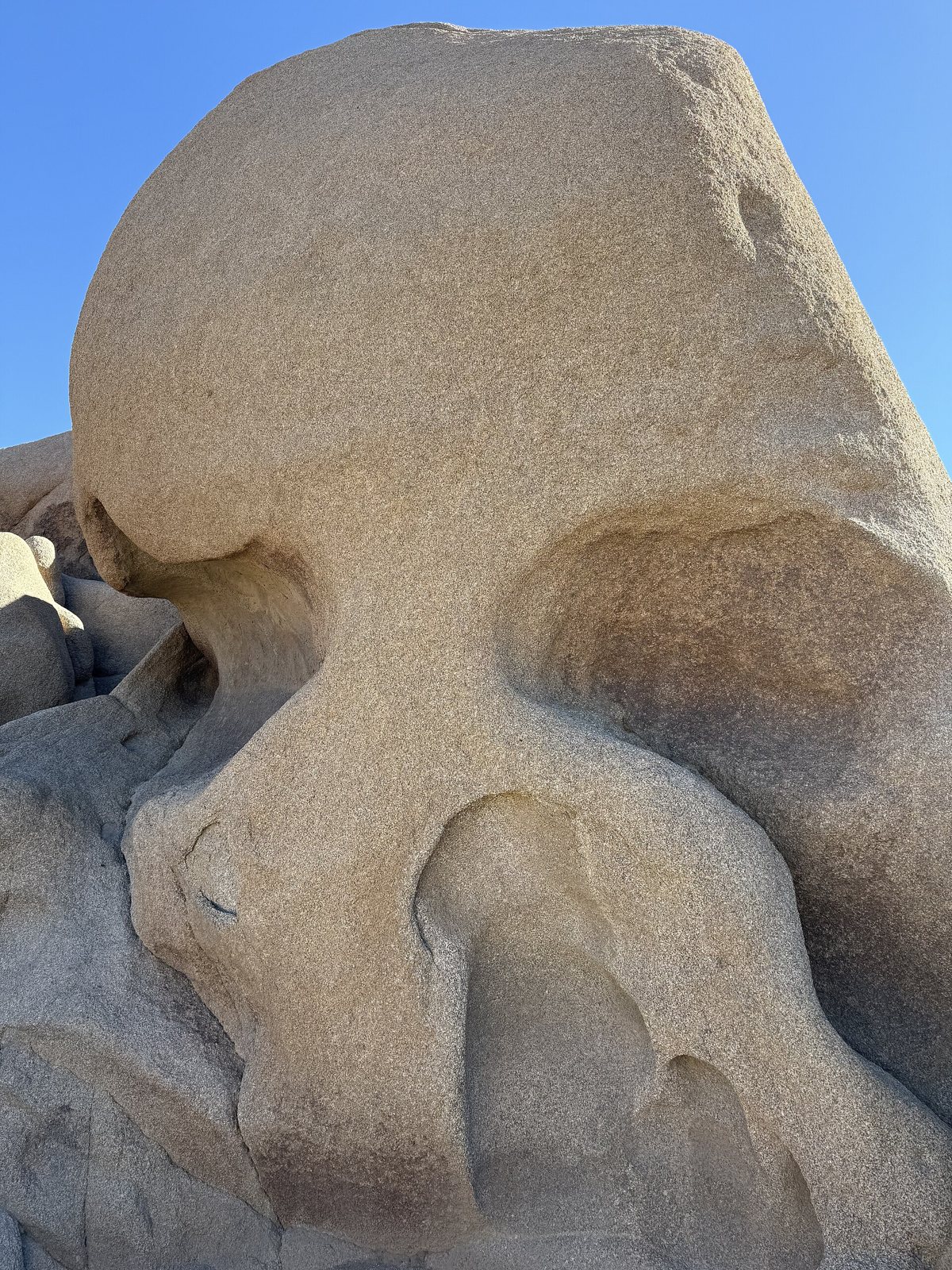 A pale granite boulder at Joshua Tree National Park with two deep hollows like eye sockets and a smaller hollow like a nose, against a blue sky