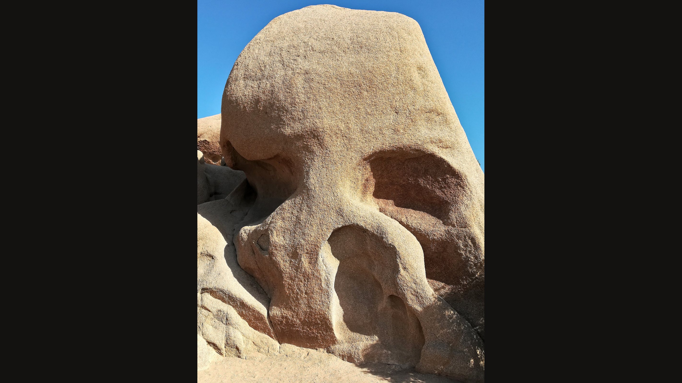 Skull Rock in Joshua Tree National Park: a rounded tan granite boulder with two deep hollows like eye sockets and a notch below like a nose, against a blue sky