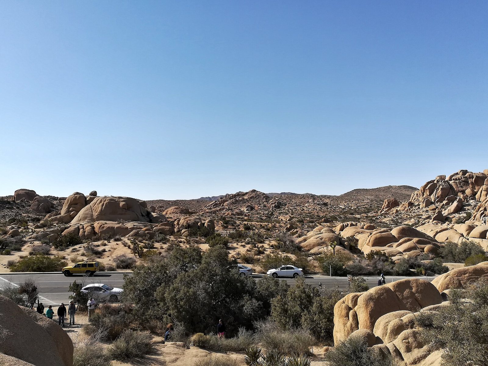 A wide view over a field of rounded tan granite boulders near the Skull Rock Nature Trail in Joshua Tree National Park, with a road and parked cars among desert shrubs below and a few visitors at the edge