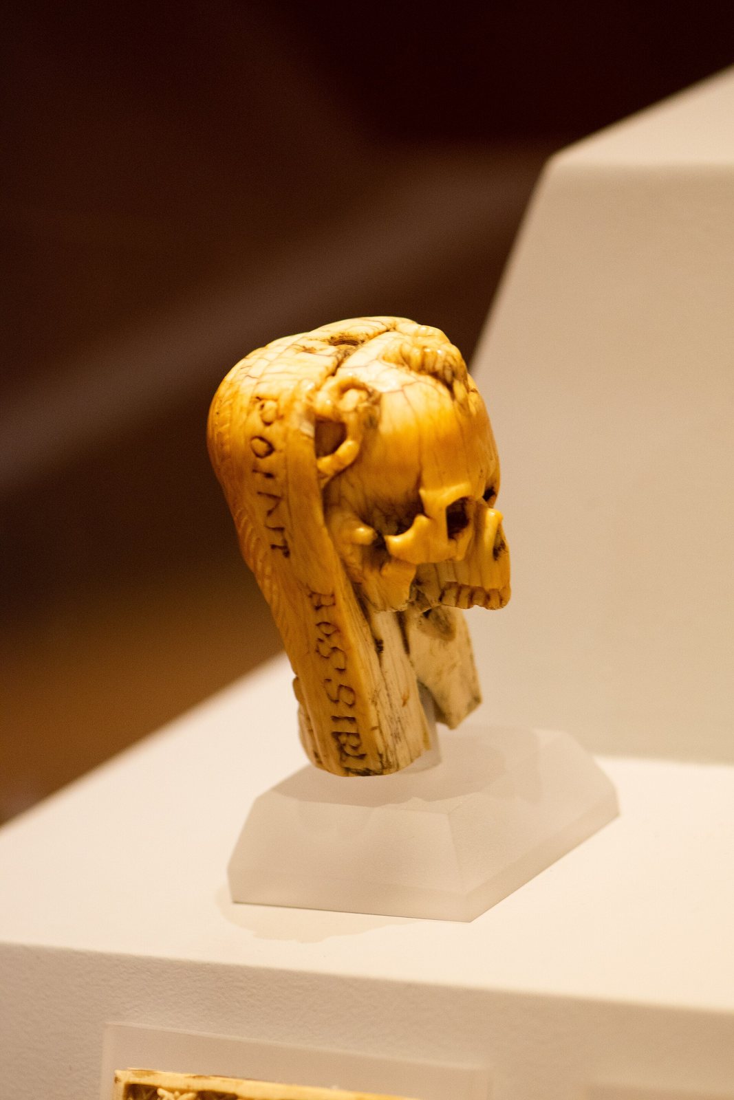 A small carved ivory bead in a museum case, seen from one side as a skull in profile beneath a hooded head, with a band of lettering carved across it