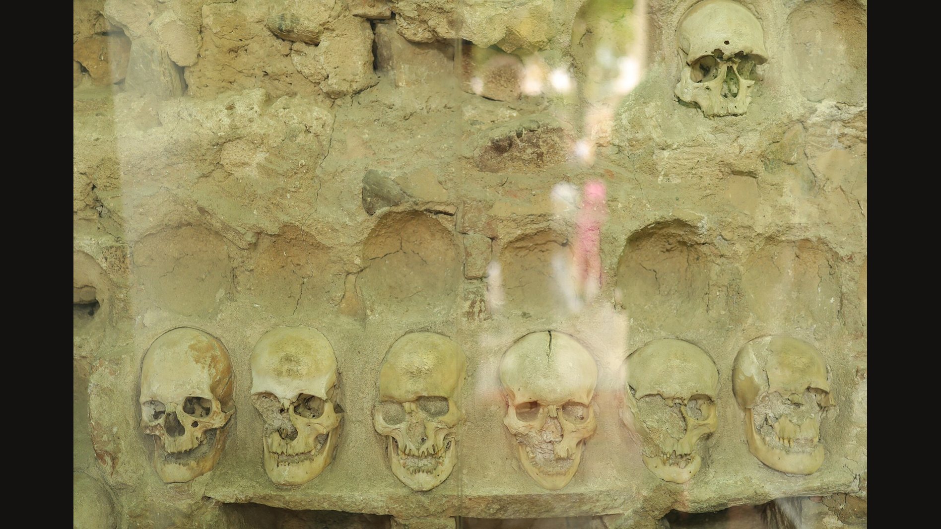 A section of the Skull Tower wall in Niš seen through glass: a row of six skulls set into pale mortar, with empty hollows above where other skulls once sat and one more skull at the top