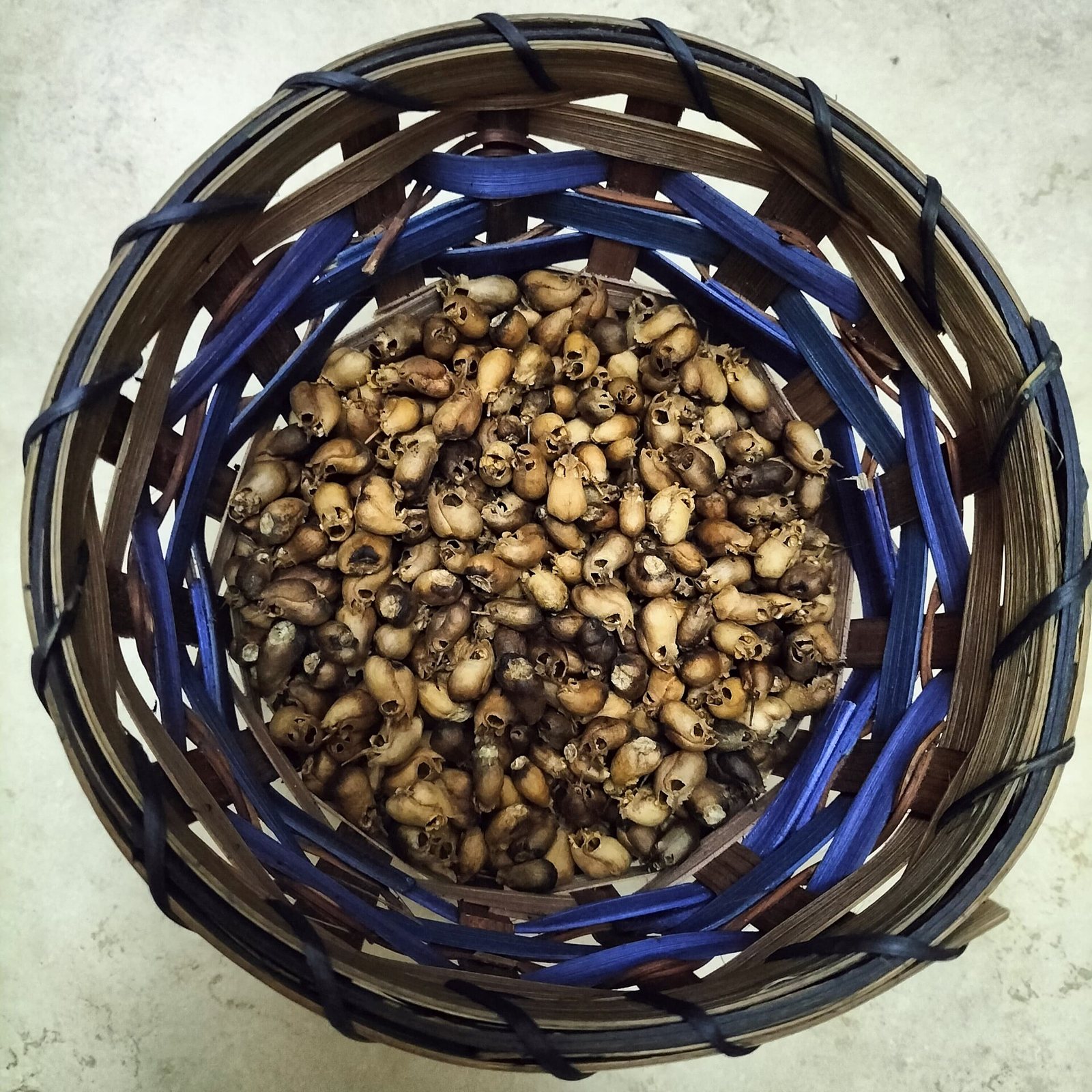 Top view of a woven basket filled with dried snapdragon seed capsules, many showing small skull-like faces