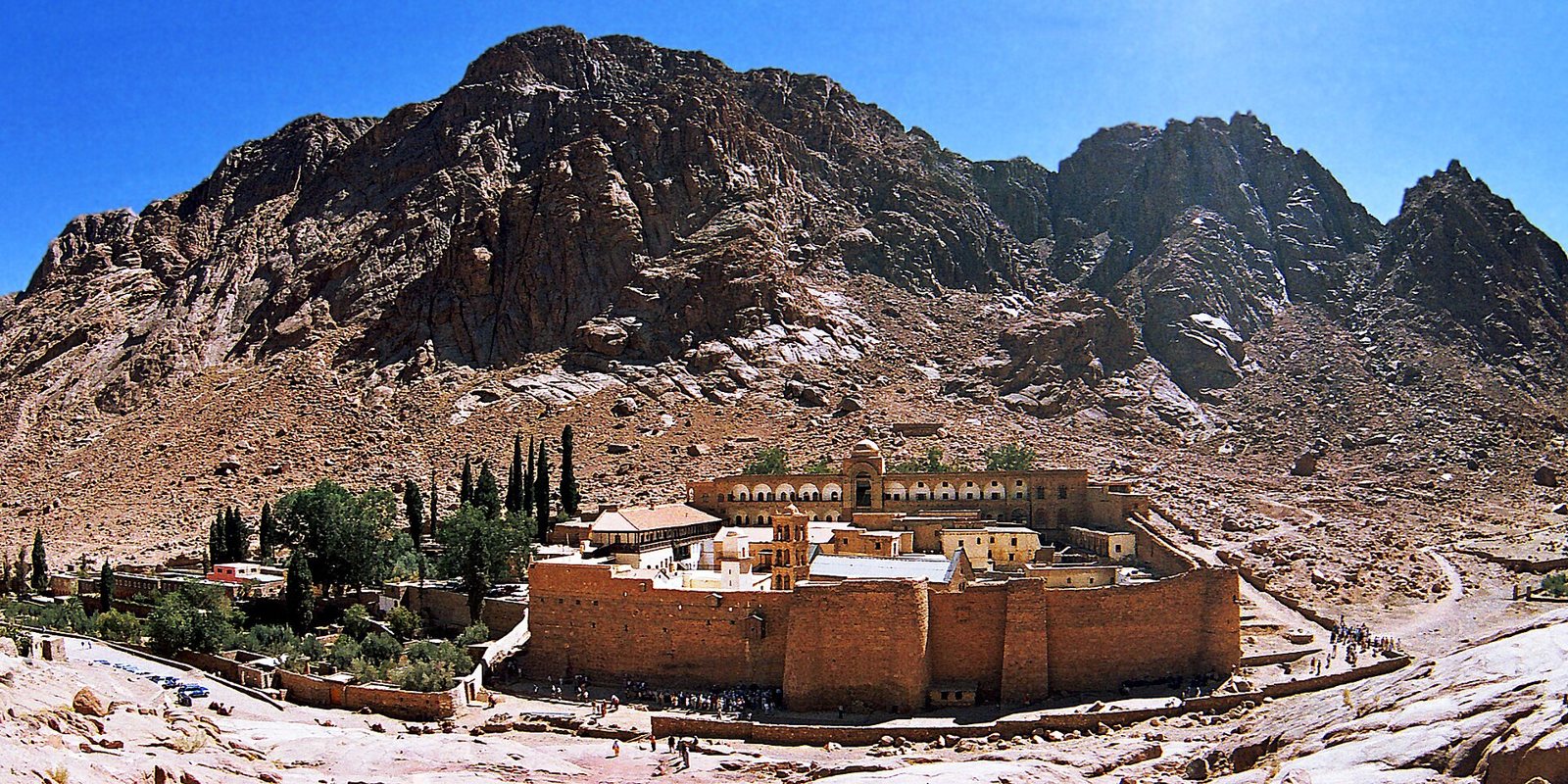 A wide view of Saint Catherine's Monastery: a walled complex of tan buildings with a bell tower and cypress trees at the foot of steep, dark red mountain peaks under a clear blue sky