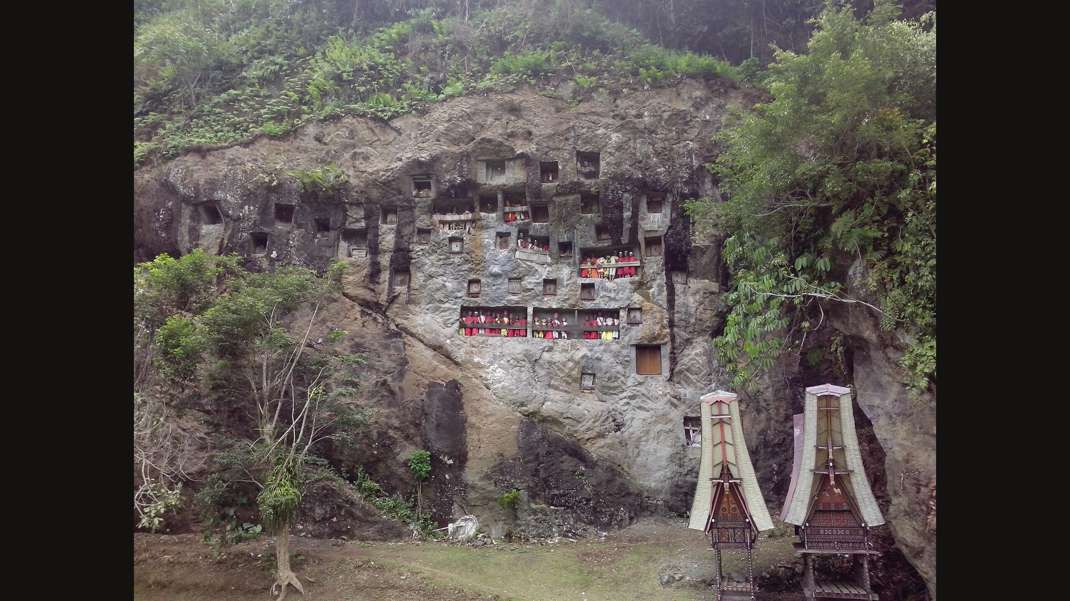 The limestone cliff at Lemo in Tana Toraja, its face cut with square burial chambers and balconies of tau tau figures, with two carved Toraja granaries with curved roofs at the foot of the rock