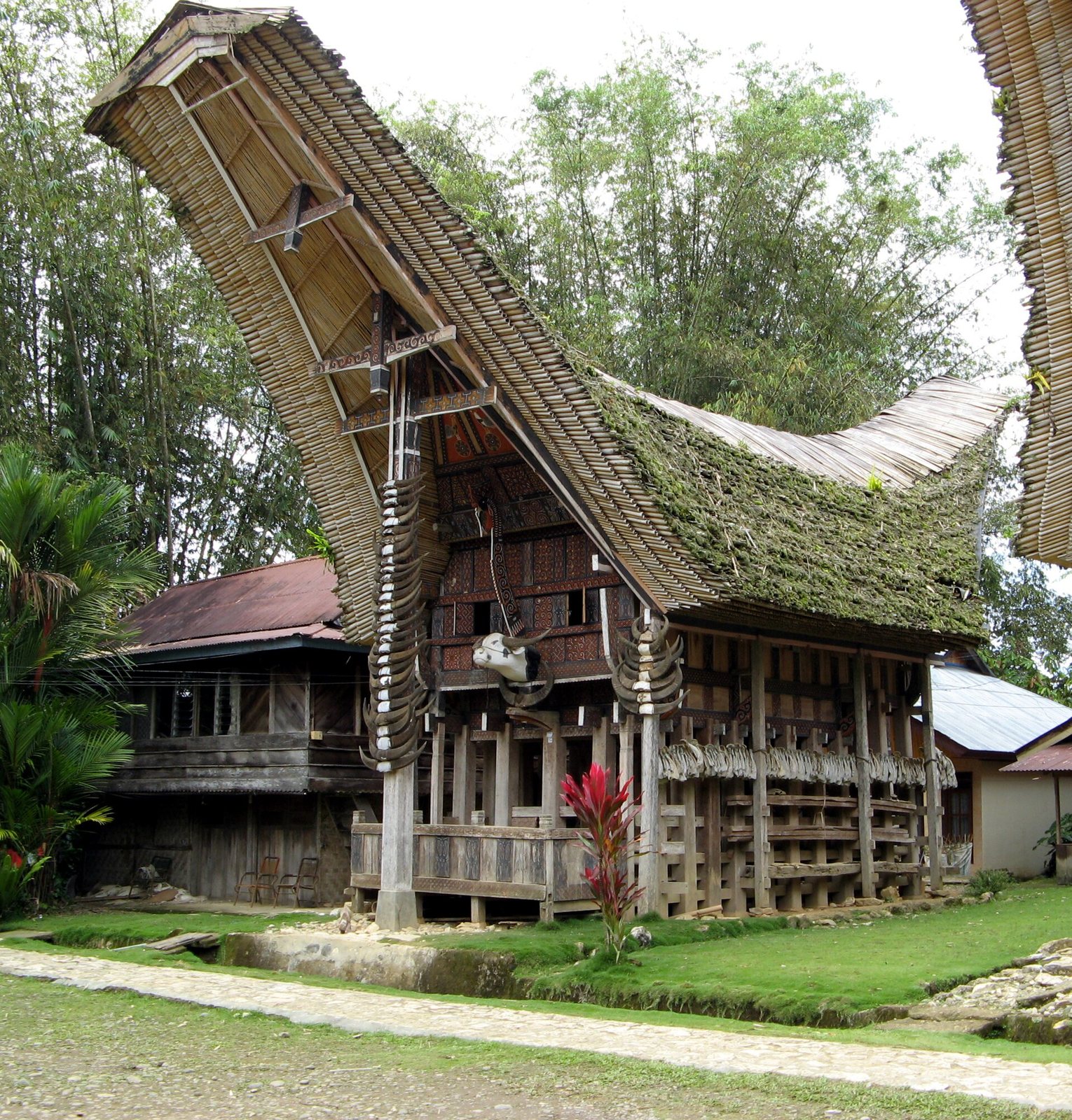 A Toraja tongkonan house at Kete Kesu with a high, sweeping boat-shaped roof covered in moss, a carved and painted wooden front and a column of buffalo horns on the front post