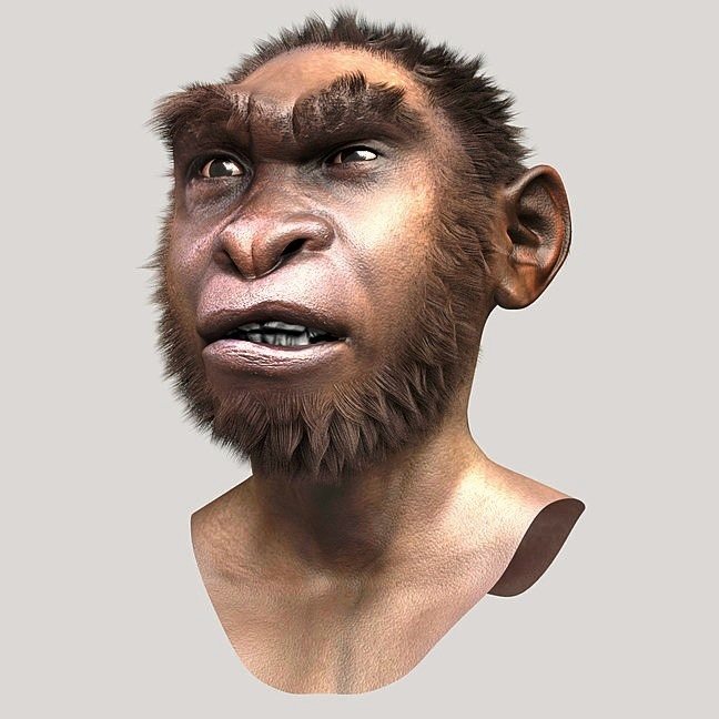 A computer-made bust of a boy with a heavy brow ridge, a broad nose and short brown hair, shown from the chest up against a plain grey background