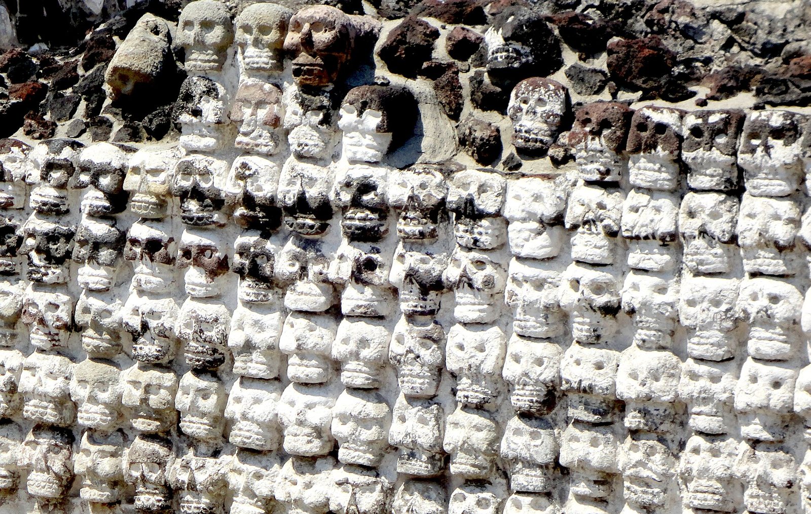 Close view of rows of white-plastered stone skulls set into a wall at the Templo Mayor, some darker with age